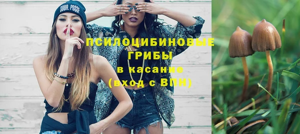 дживик Баксан