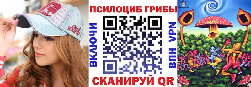 Псилоцибиновые грибы прущие грибы  закладки  ссылка на мегу   Шацк 